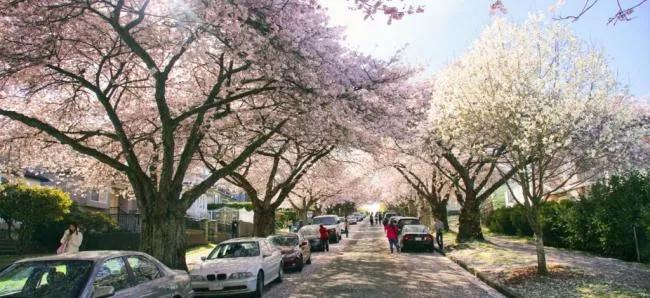 温西独立屋房租,过去20年房价涨了多少倍