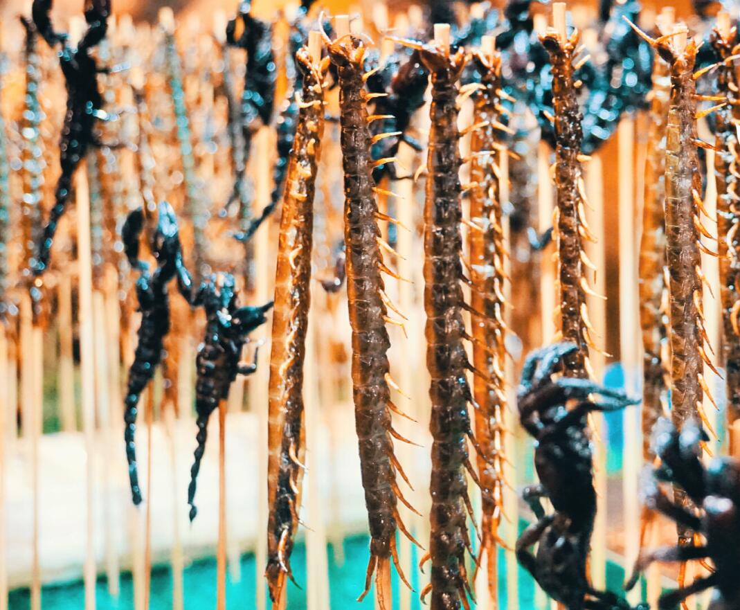 云南有哪些旅游景点分别在哪个市,云南最受欢迎的景点