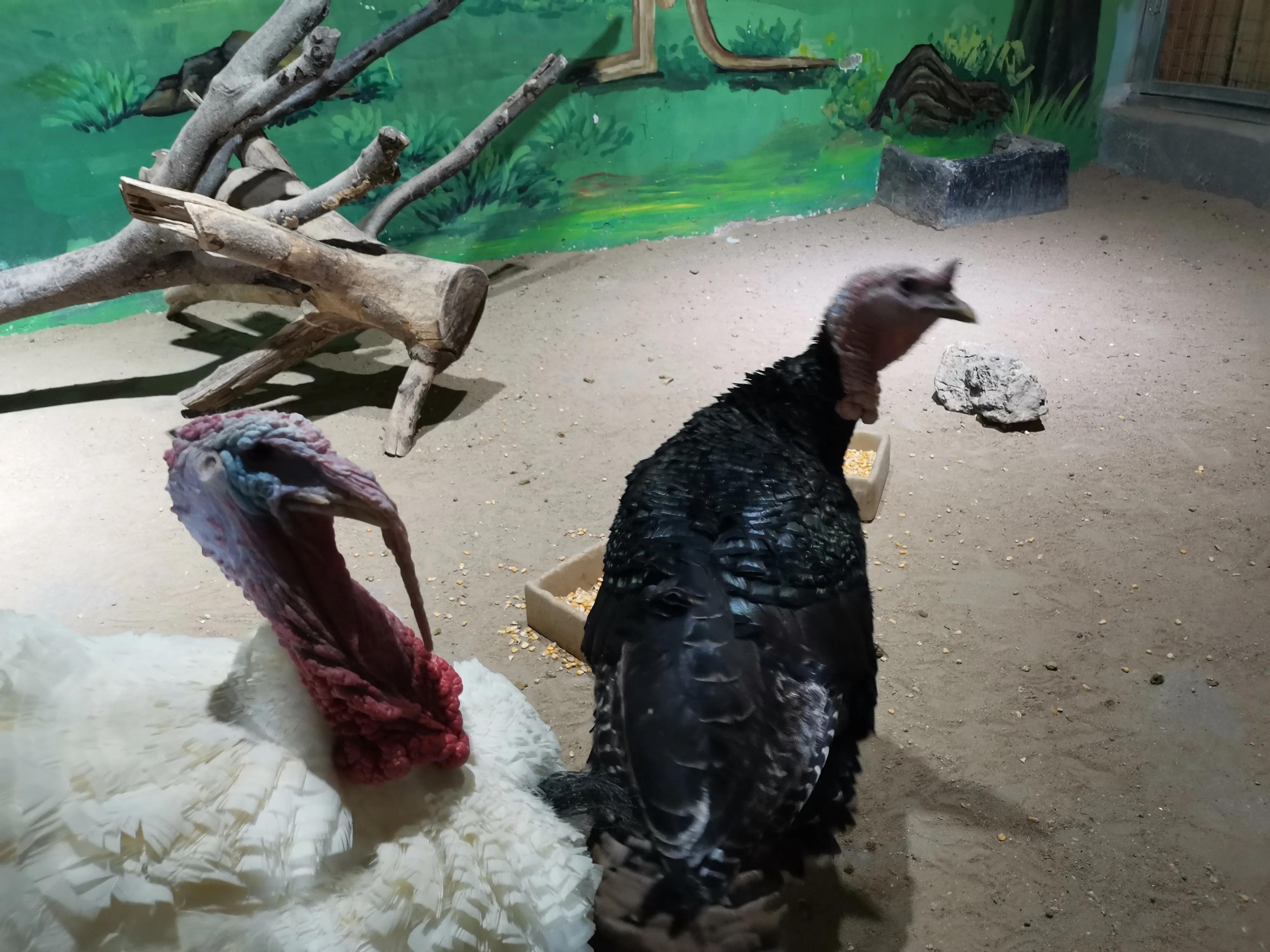 潍坊极地世界,寿光极地海洋世界人多吗