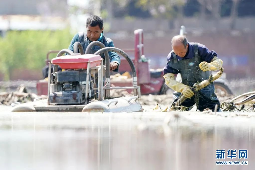 我为群众办实事怎样加强舆论宣传,我为群众办实事新媒体