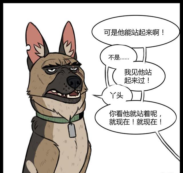 大狼狗和小奶猫,大狼狗小奶猫和平精英