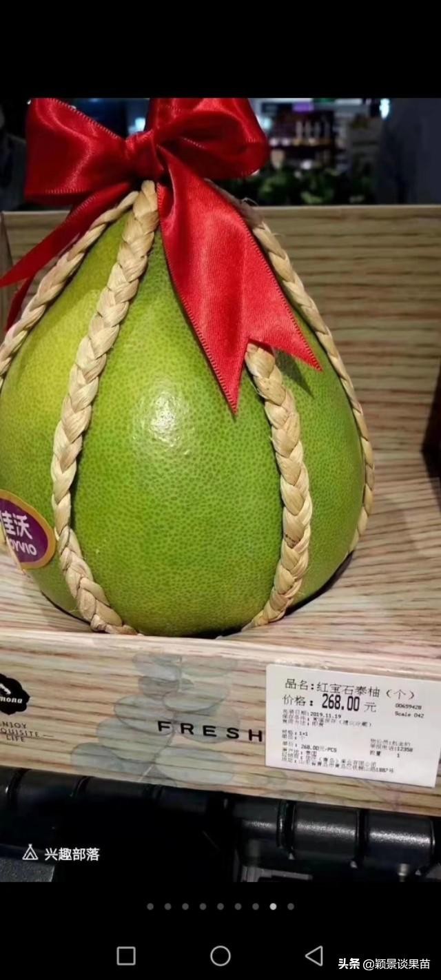 红宝石泰柚是什么,什么是红宝石