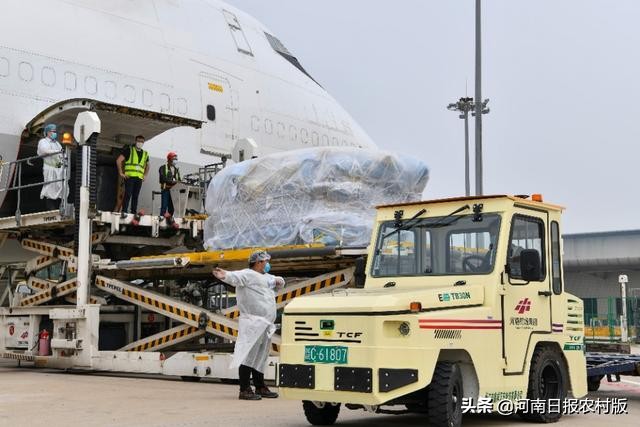 郑州欧洲专线,郑州至欧洲货运航线