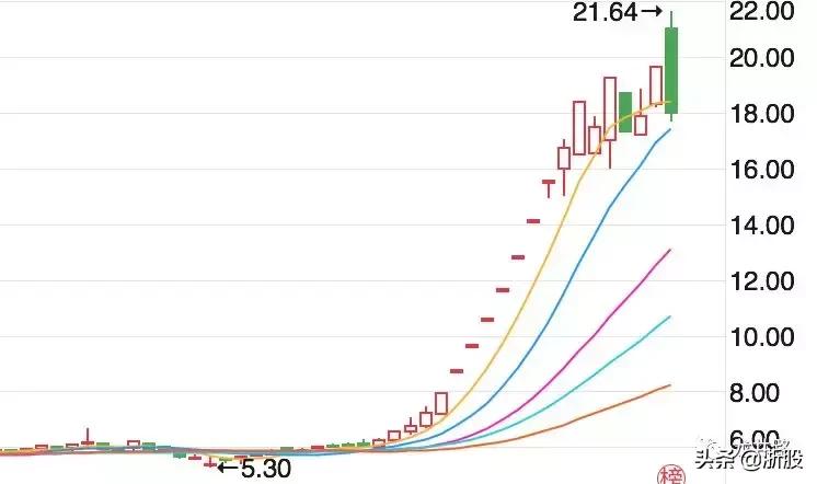 复旦复华高位震荡出货,赵老哥砸盘到跌停
