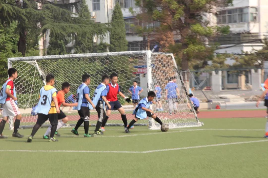 枣庄市立新小学第三届“校长杯”足球联赛圆满落下帷幕