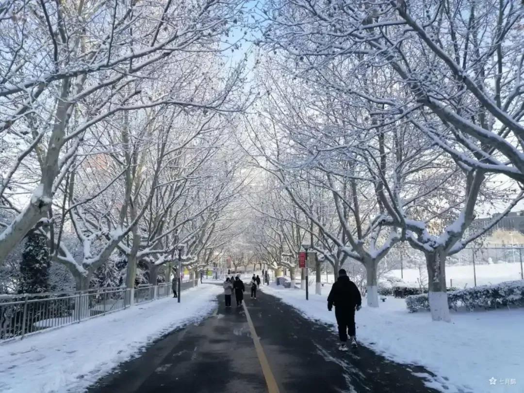 大连海事大学和辽宁省哪个级别高,大连海事大学辽宁省大学排名