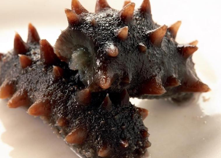 怎样鉴别参龄海参,怎样判断海参是几年参