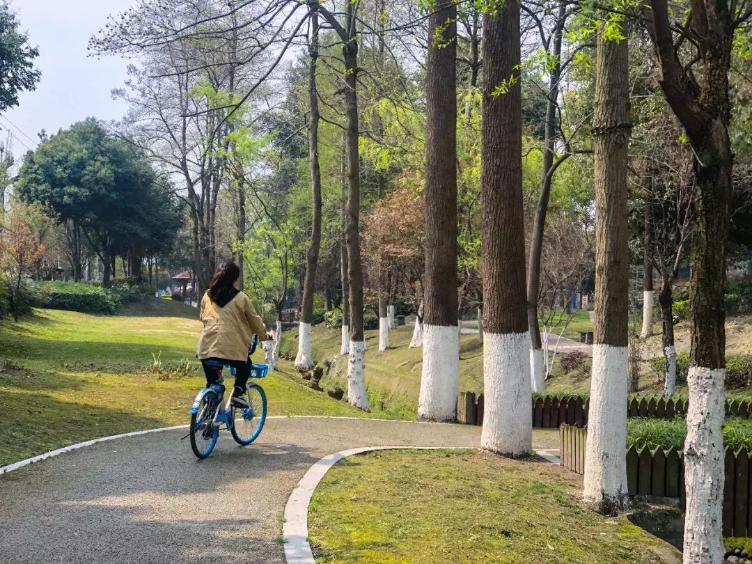 都江堰天府绿道骑行路线图,都江堰周边最美骑行路线