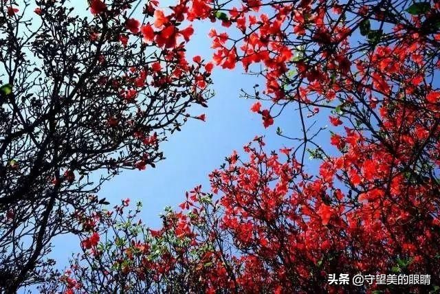 广西旅游壮美广西,下一站广西南宁完整版