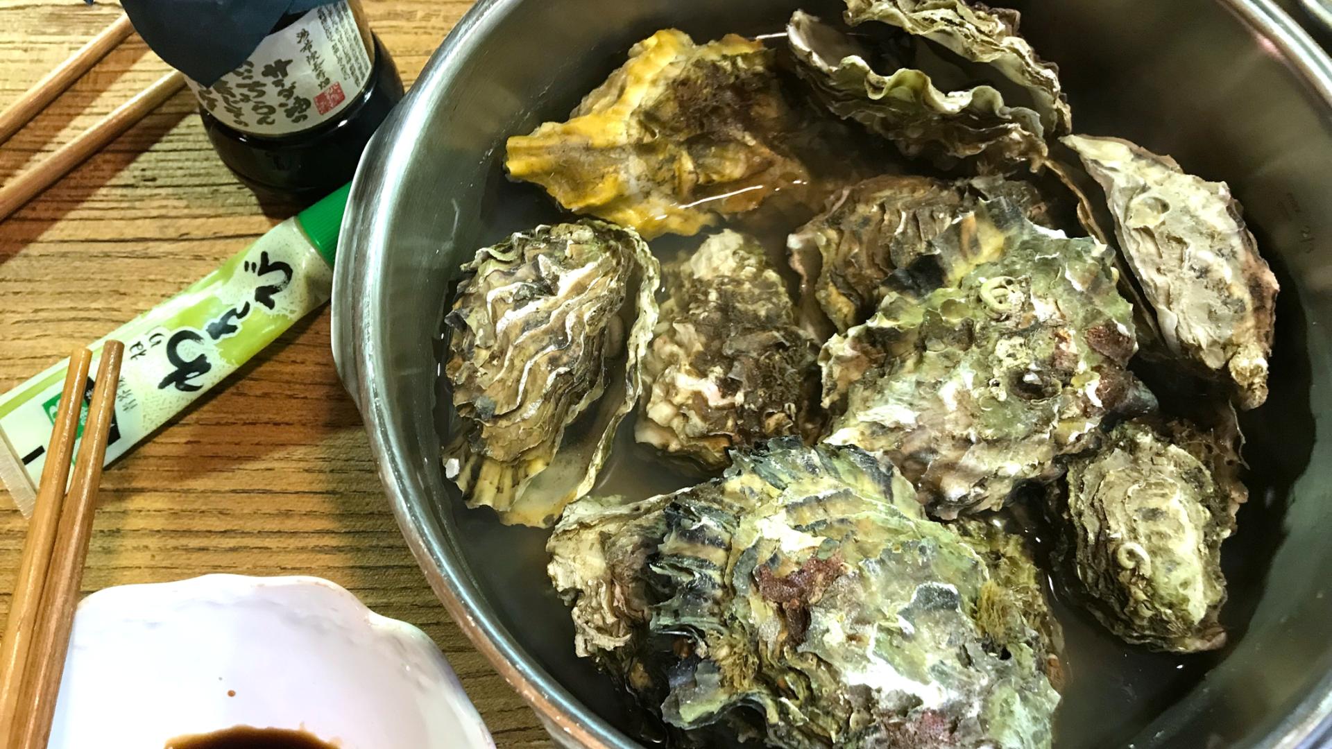 锅具选择什么牌子好,锅具选购