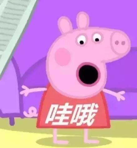 春节去旅行请收下这份防坑指南,春节旅行值得去的七大目的地