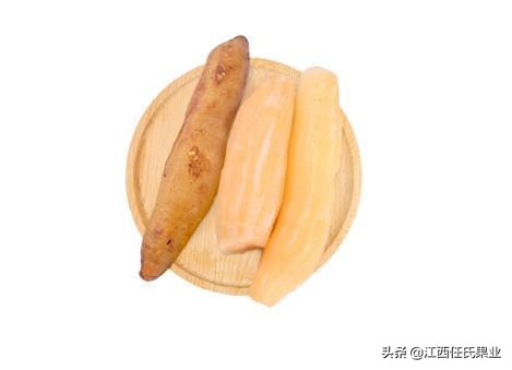 雪莲果为什么有松树的味道,为什么雪莲果的汁水是黑色的