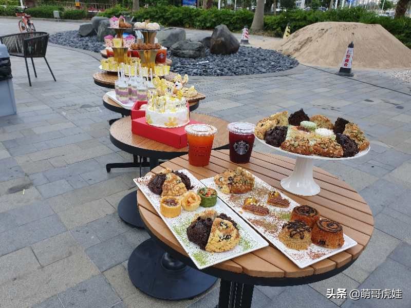 全城寻找巨型贵宾犬,刚抱回家的巨型贵宾犬