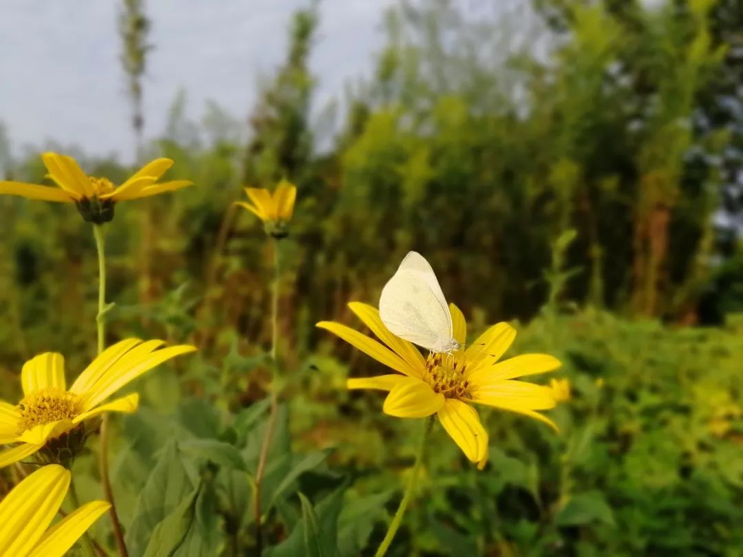 肿瘤与糖尿病的区别,糖尿病与癌症之间回顾性分析