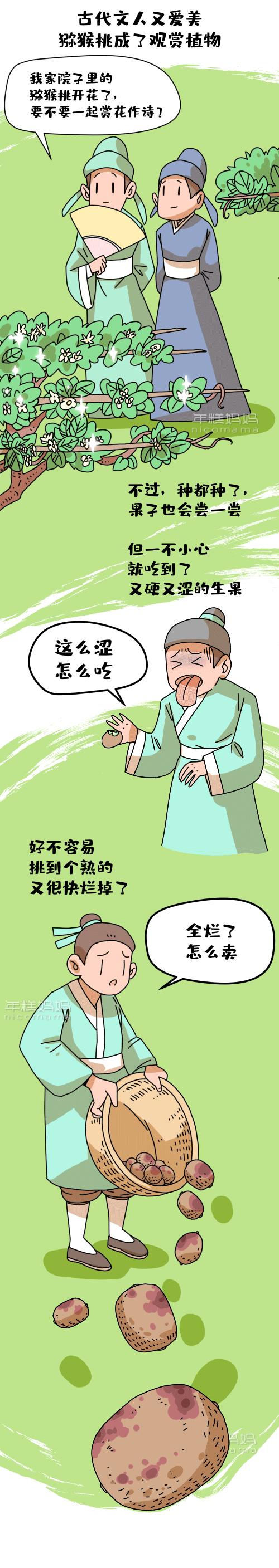 宝宝便秘吃什么润肠通便的水果,宝宝可以吃的润肠通便的水果