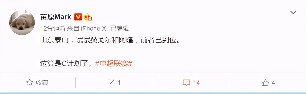 惊喜！泰山队寻枪还有B计划26岁高中锋或租借加盟？