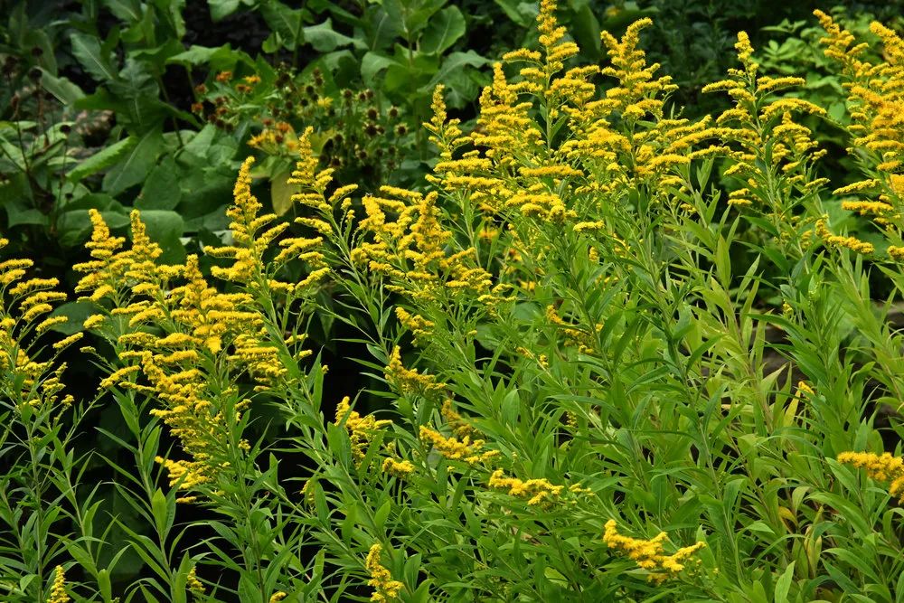 尼康z16-50和z28镜头对比,尼康zdx16-50