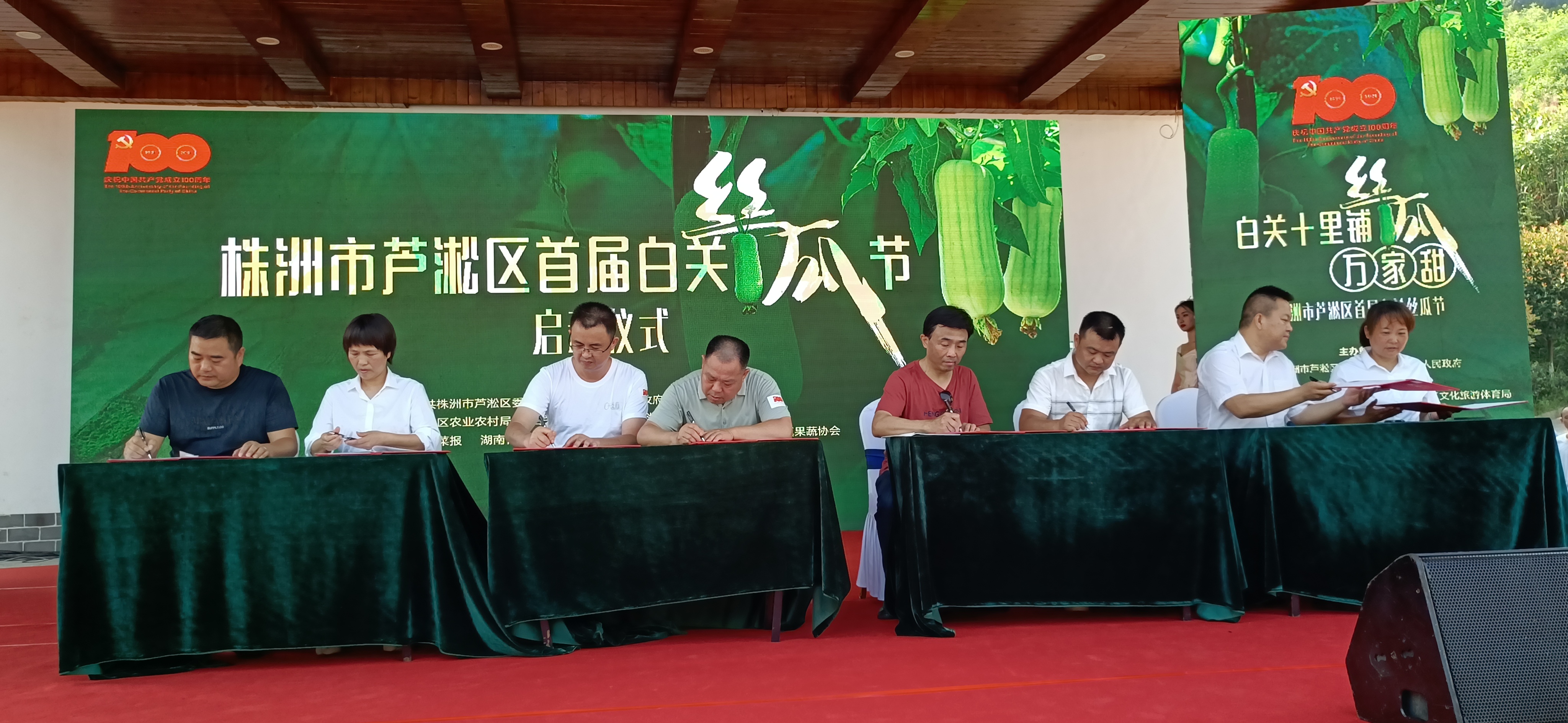 丝瓜创业致富,白关镇白丝瓜种植