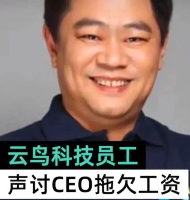 云鸟科技陷破产纠纷,云鸟科技有多厉害