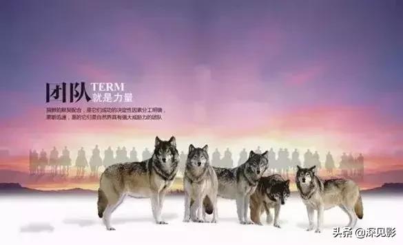 美国制裁华为对华为手机有影响吗,美国制裁华为对华为的影响