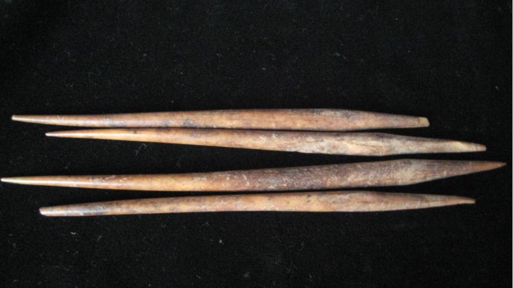 为什么动物有体毛也没有体毛,人类真的是奇怪的动物吗