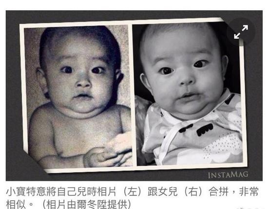 丁克六对明星夫妻,明星有哪几对丁克夫妻