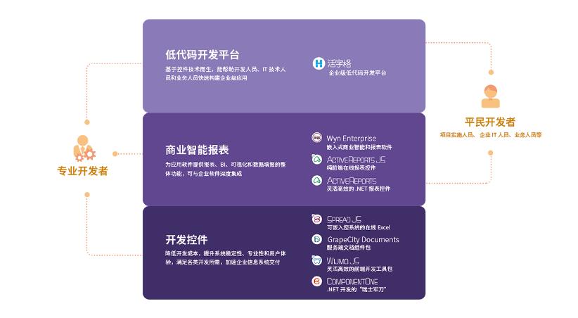 数据猿专访葡萄城总经理倪爱军：低代码，未来可期