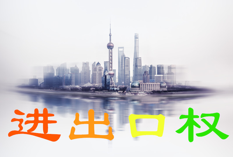 进出口权办理的流程及费用,什么是进出口权代理