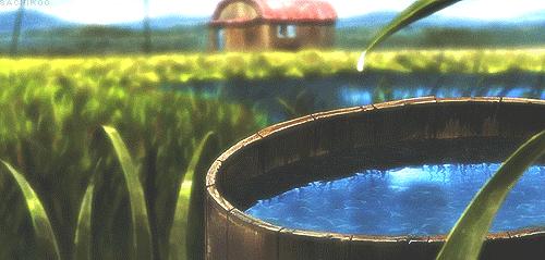 哈尔滨自驾三亚边走边玩最佳路线,哈尔滨到漠河自驾旅游攻略10天