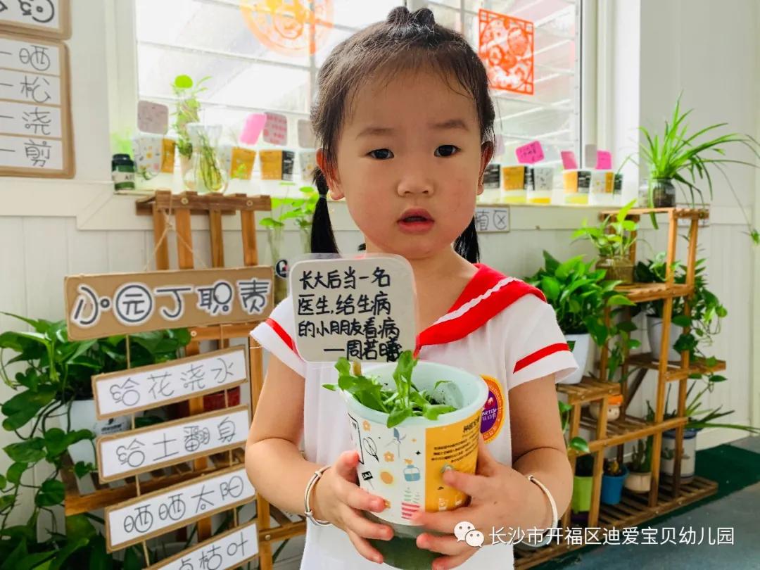 诺亚舟幼儿园,诺亚舟幼儿园里欢乐多