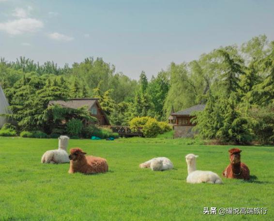 秋天去泡温泉能有多惬意,初秋适合去哪里泡温泉