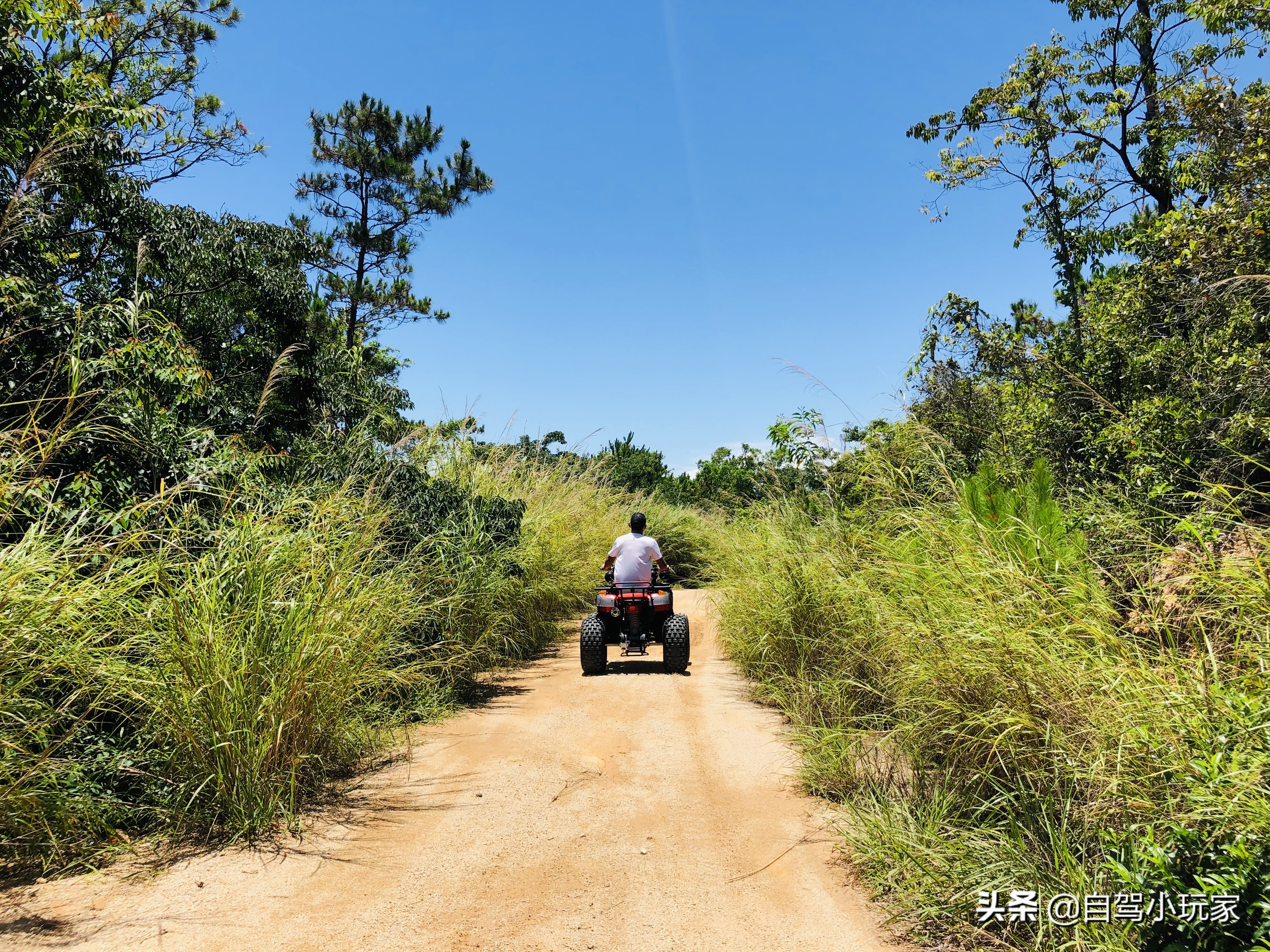惠州最美礁石海滩,惠州最干净的沙滩推荐