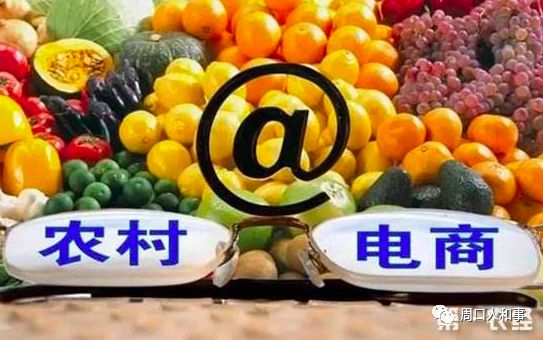 郸城返乡创业园,电商进村项目后续发展