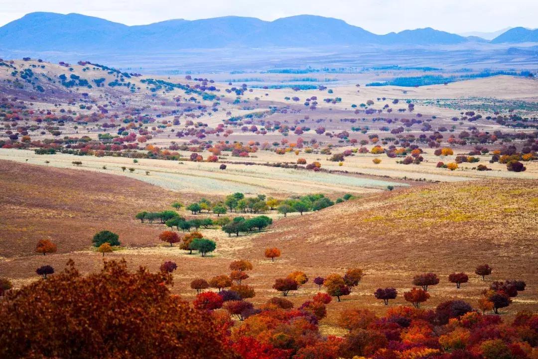 2019必去的旅行地,8月最新旅行地推荐