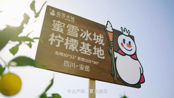 蜜雪冰城奶茶店值得投资吗,蜜雪冰城奶茶创新加盟