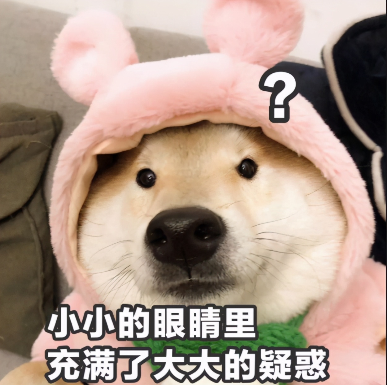 余额宝收益率最高的理财产品,余额宝收益低该选哪个理财产品