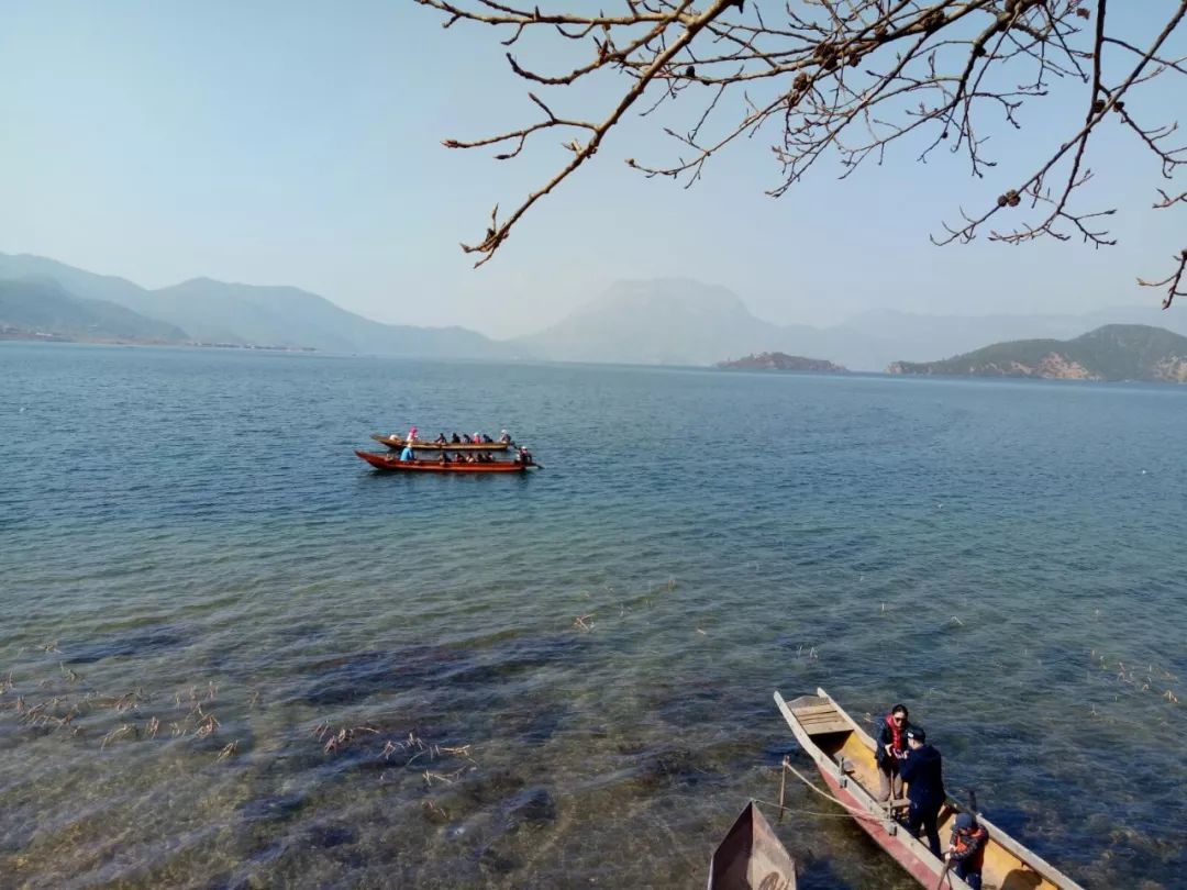 无法形容的颜色,无法形容的清香