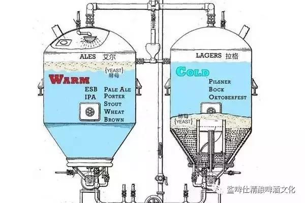 德国为什么爱啤酒,为什么很多人喝不惯德国啤酒