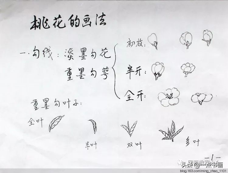 国画桃花颜色怎么调,徐湛教桃花国画画法