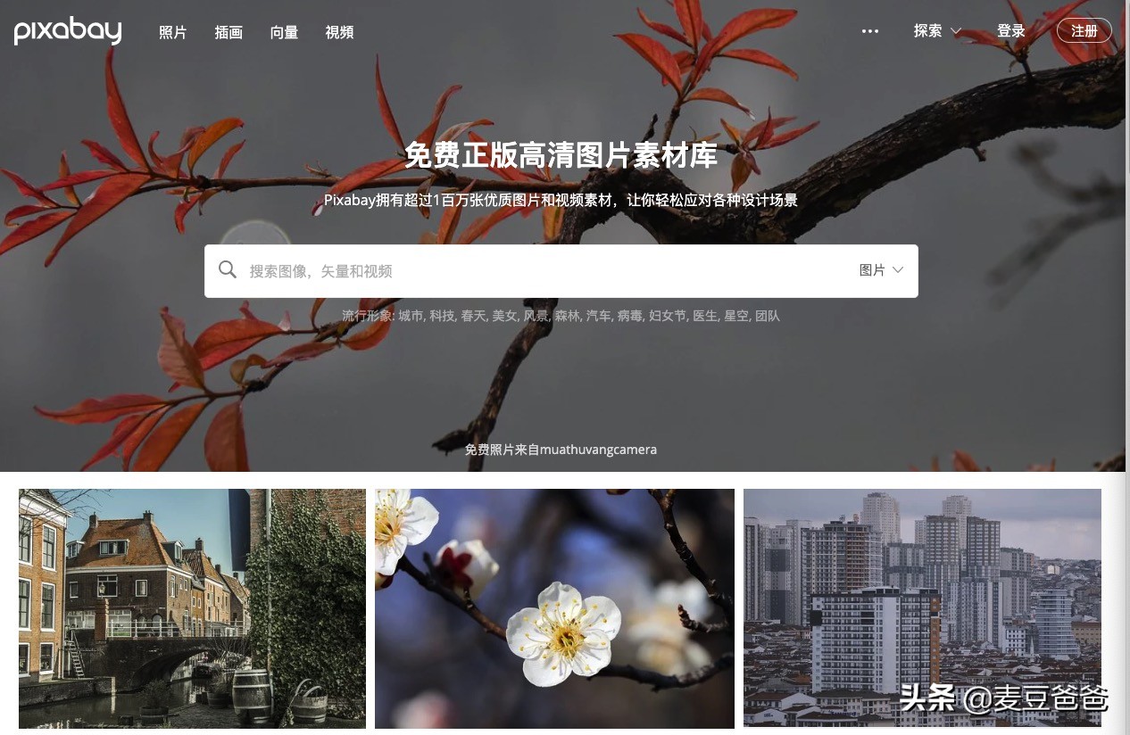 美化字体壁纸怎么做,电脑美化壁纸的软件有哪些