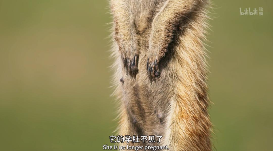 豆瓣评分9.5以上的国产电影有哪些,十部顶级神片推荐