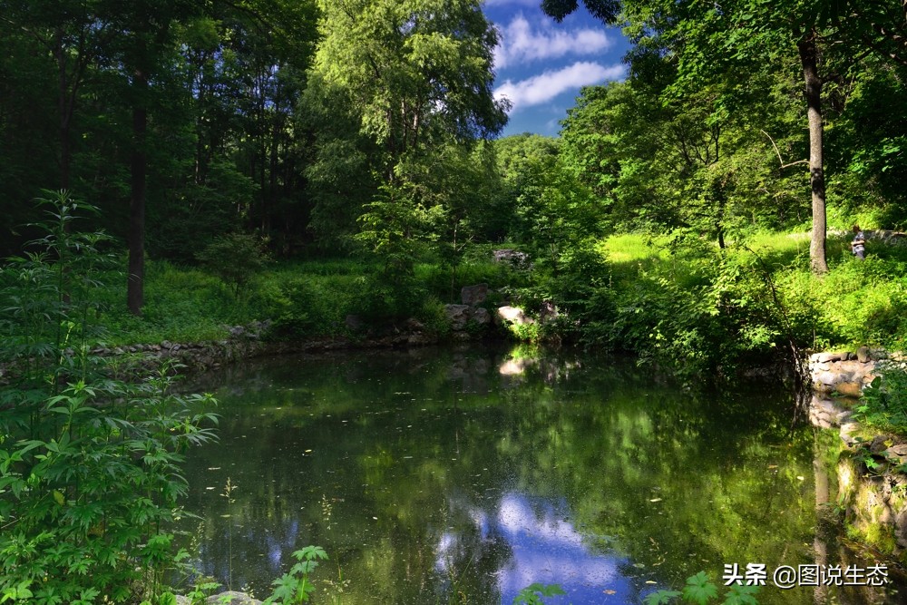 农村大山发现一尊山体大佛,本溪大峡谷天然石佛