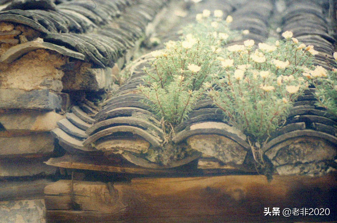 武财神关羽为什么不能供奉,关羽为什么不供奉武财神