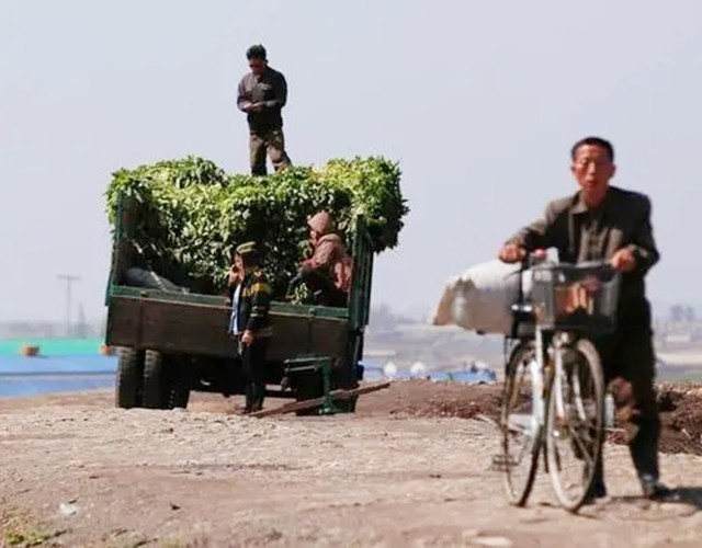 朝鲜实地拍摄,朝鲜士兵观察韩国动态图片