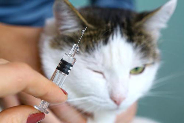 重庆首富诞生！身价1350亿，半年赚千亿，年近半百才开始创业