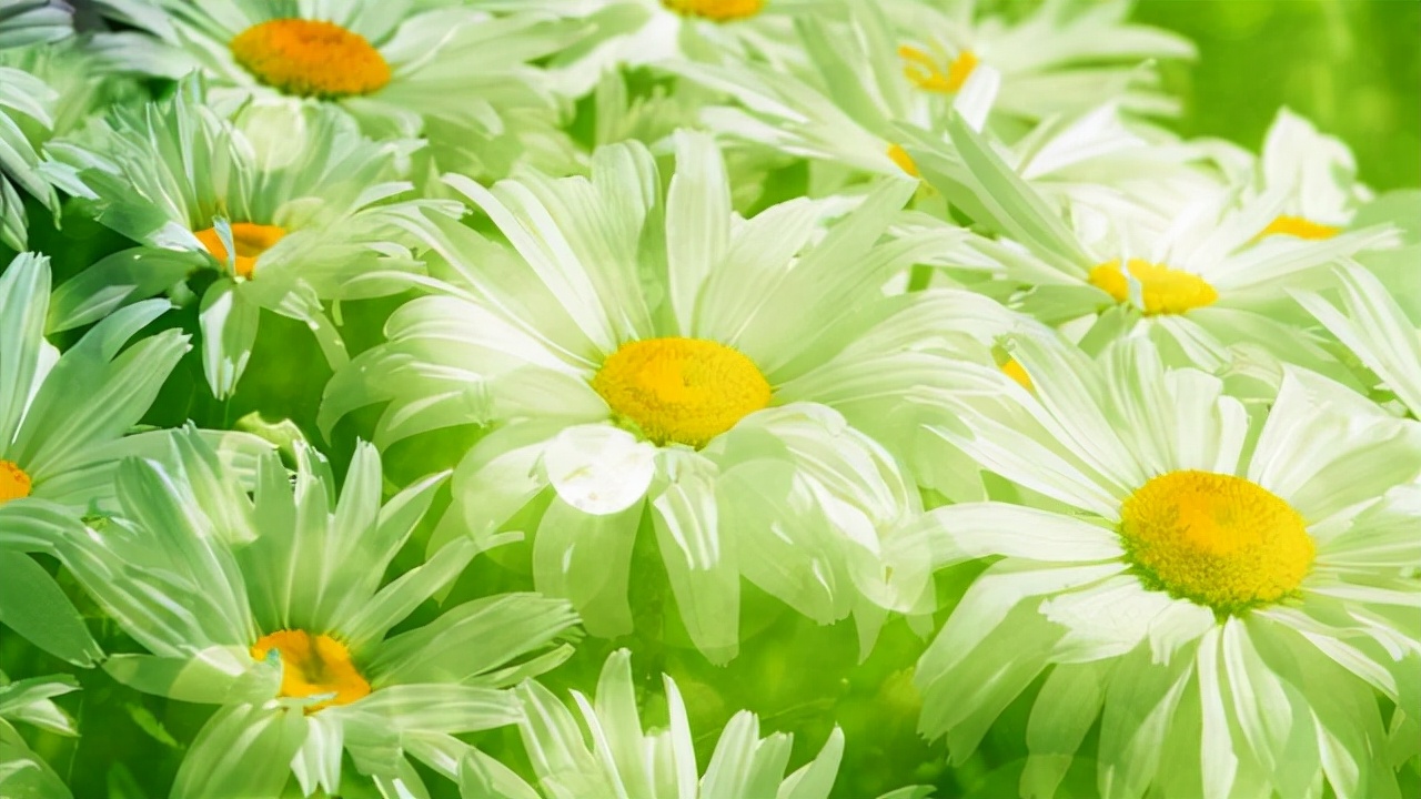 男人出轨冷落自己该怎么应对呢,当男人冷落你时最好的回击方式