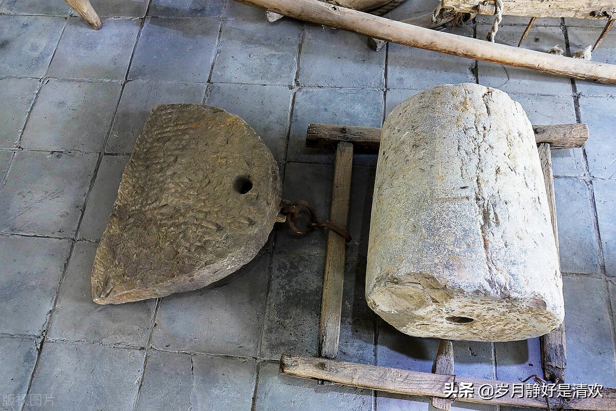 芒种时节是小麦收割时节,芒种麦收完整版