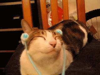 微信聊天记录的文件过期怎么恢复,微信过段时间就文件过期怎么设置