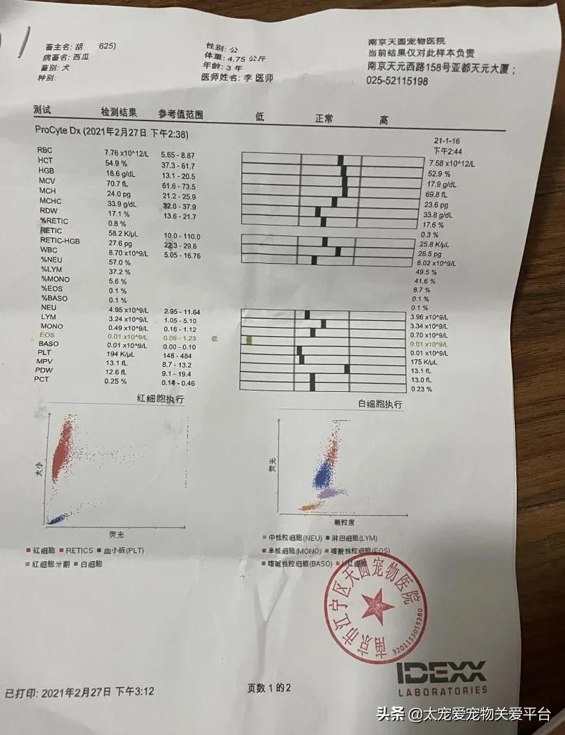 十二指肠溃疡丨太宠爱理赔案例南京天圆宠物医院