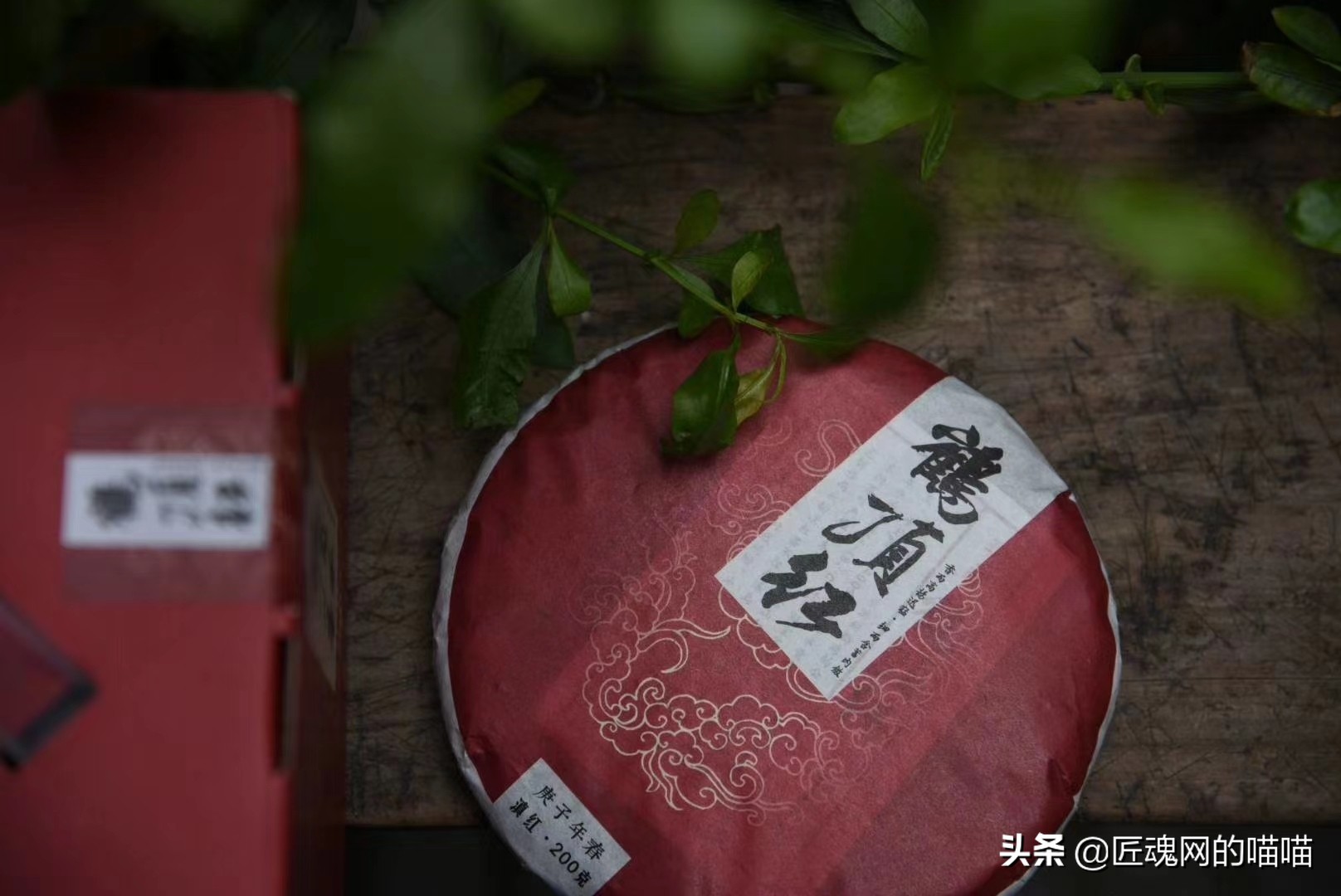 茶叶为什么要杀青,所有茶都需要杀青吗